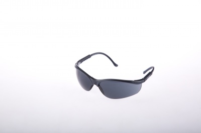  Goggles BRAVO 1201